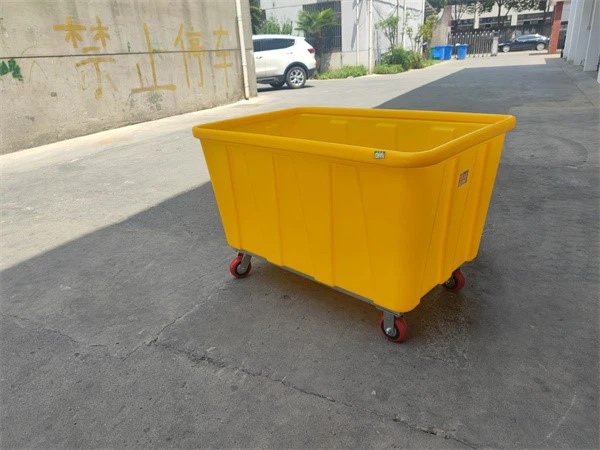 IMG20220806111224 IMG20220806111224