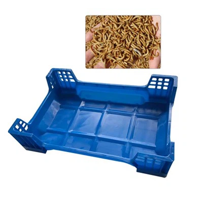 Insect Breeding Tray