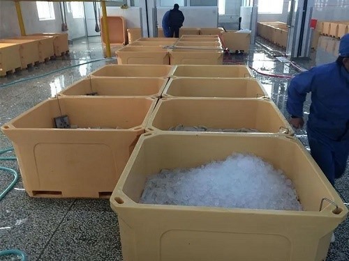 Seafood and Fishery Logistics Seafood and Fishery Logistics