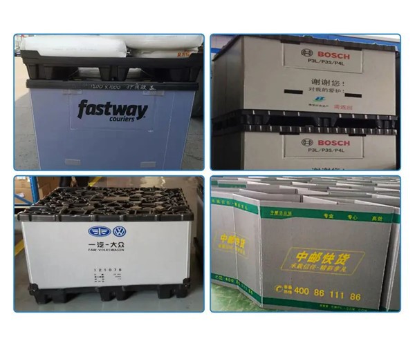 Customized Appearance Customized Appearance