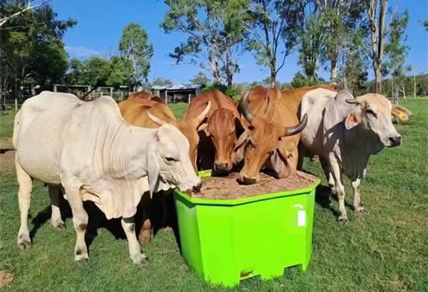 Animal Husbandry Animal Husbandry