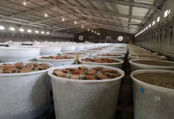 Food Processing Plants Food Processing Plants