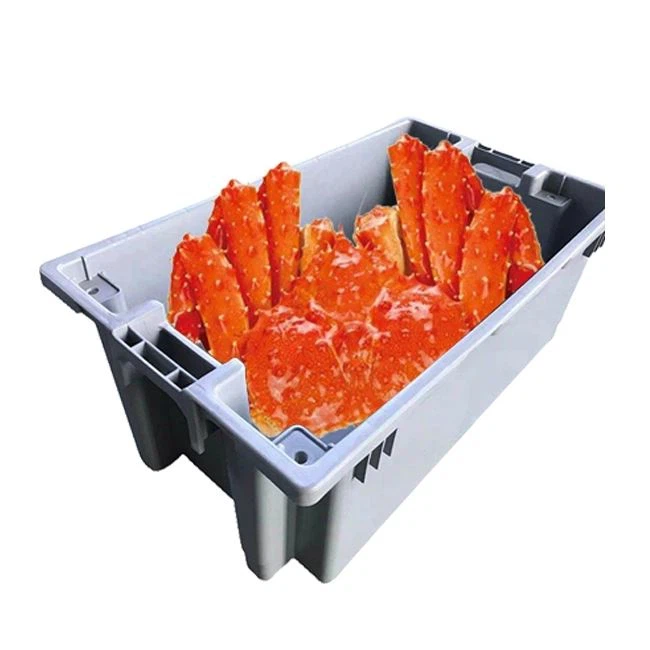 Plastic Crate/Box For Seafood & Cold Room Storage Plastic Crate/Box For Seafood & Cold Room Storage