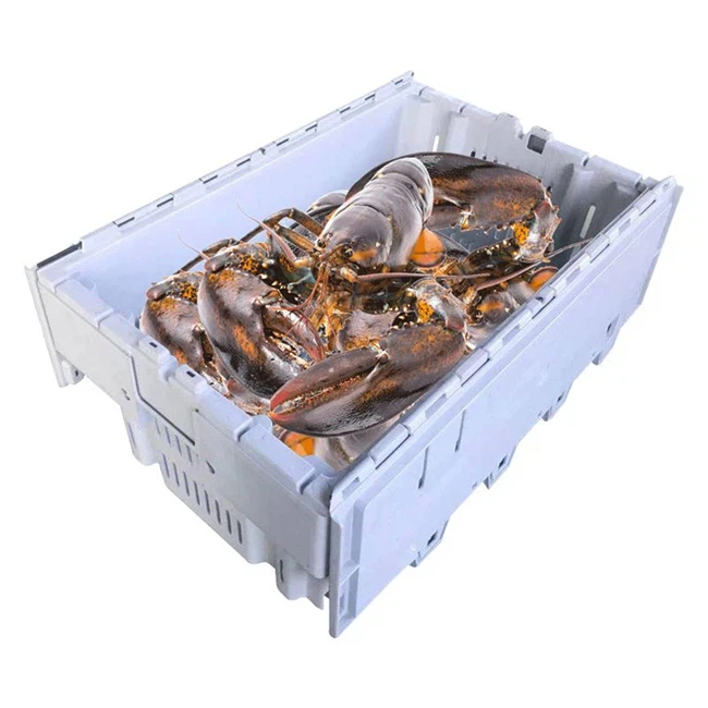 Wholesale Plastic Lobster Crates Wholesale Plastic Lobster Crates